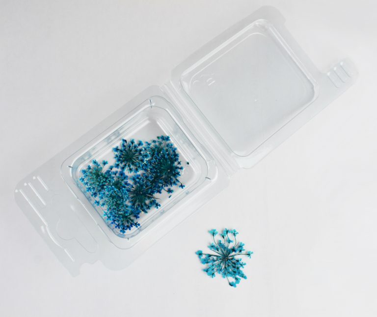 Fleurs séchées Fleurs bleues
