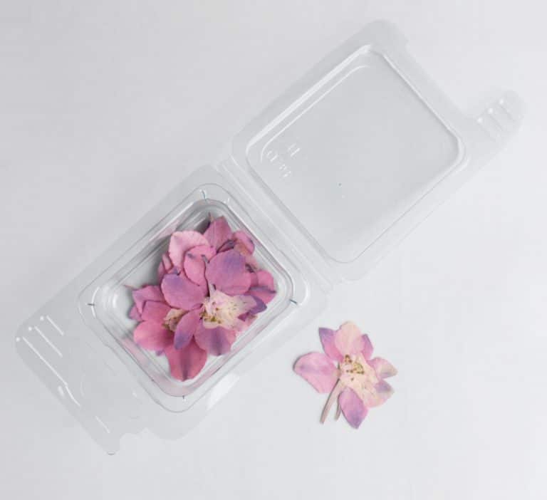 Fleurs séchées Fleurs Rosa pour bijoux