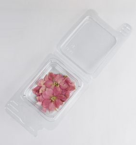 Fleurs séchées Fleurs Rosa Cipria