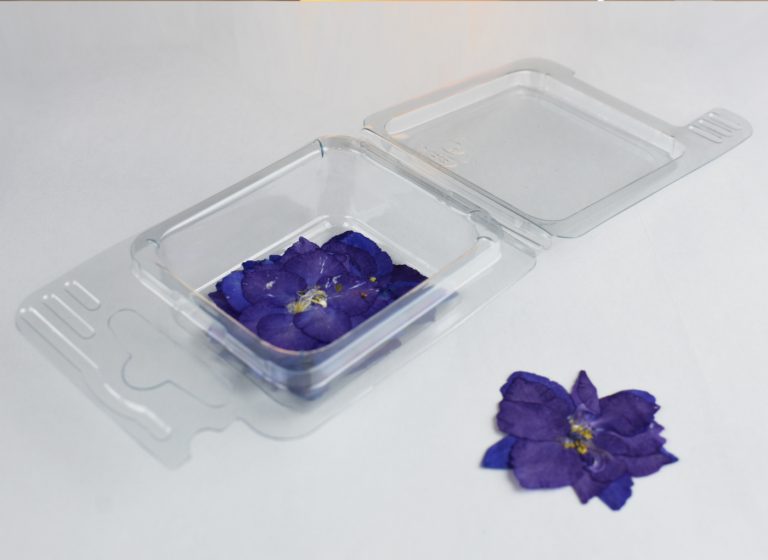 Fleurs séchées Fleurs Violettes