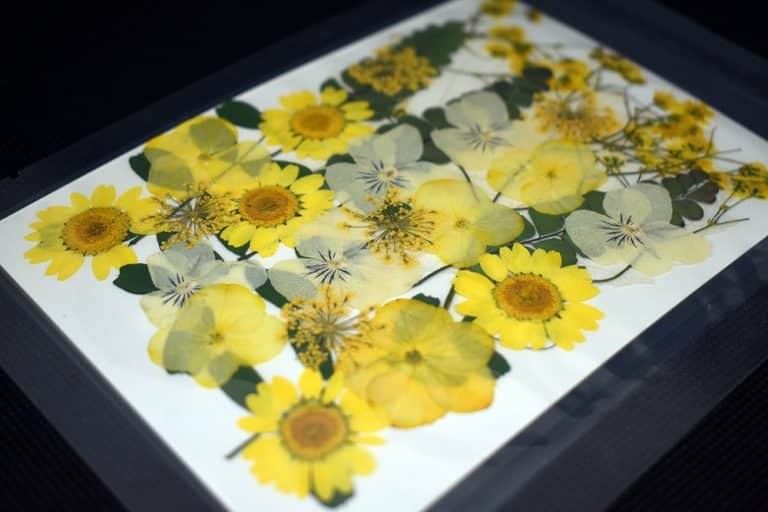 Bouquet 