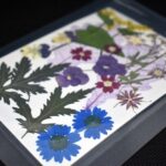 Bouquet "Multicolore"