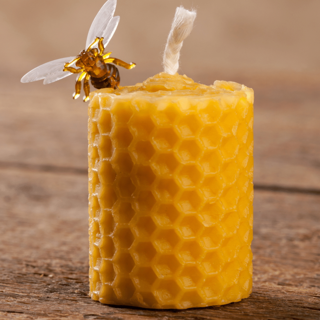 Bougie pilier en pure cire d'abeille artisanale - Apis Cera