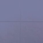 RAL-5005