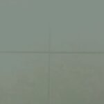 RAL-6005