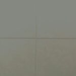RAL-6009