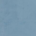 RAL-5007